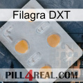 Filagra DXT 24